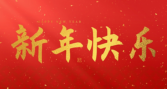 安特儀表集團有限公司祝大家2025新年快樂！